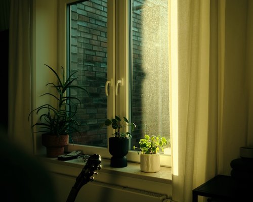 A person doing light household chores like watering plants in a cozy apartment